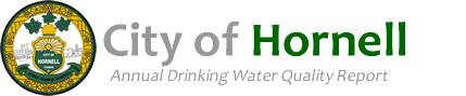 City of Hornell Annual Drinking Water Quality Report